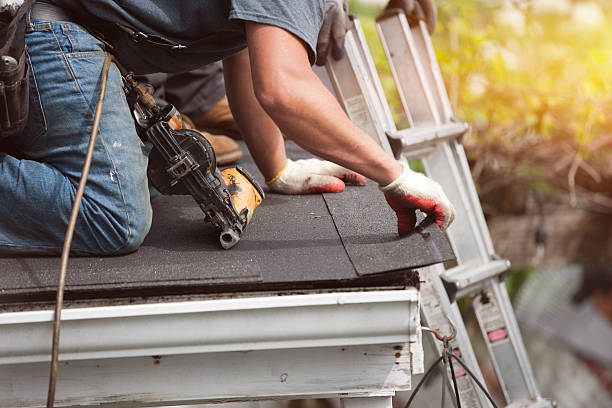 Best Metal Roofing Contractor  in Troy, NC